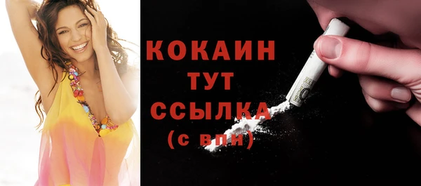 дживик Иннополис